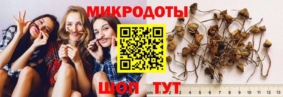 Галлюциногенные грибы мухоморы  Вход с VPN  Баксан 